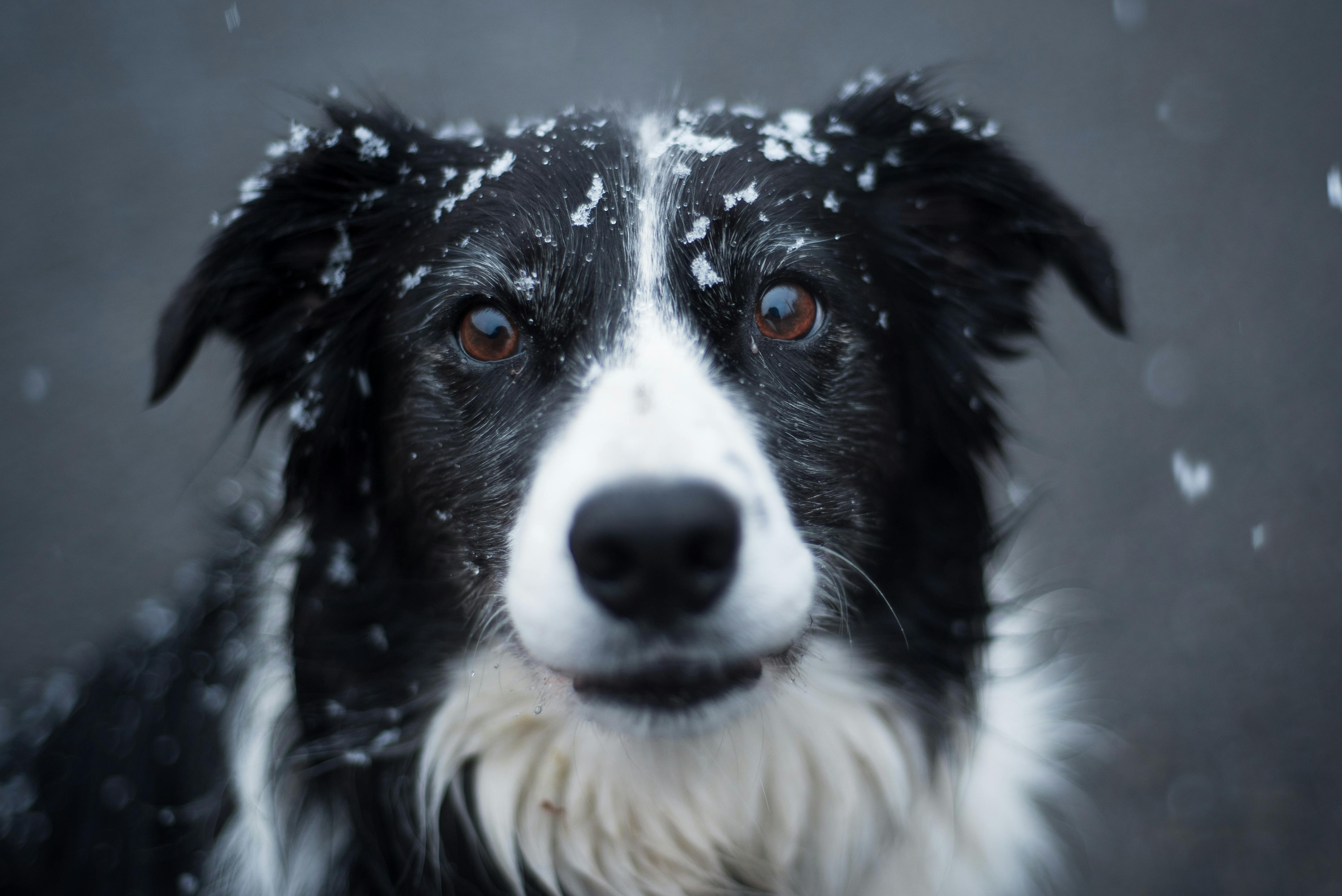 Cold Plunging and the Myth of “Pushing Through”